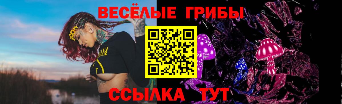 Галлюциногенные грибы Psilocybine cubensis Нарткала